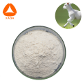 Anti-Aging-Material Schaf-Plazenta gefriergetrocknetes Pulver