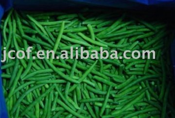 FROZEN GREEN BEANS(766)