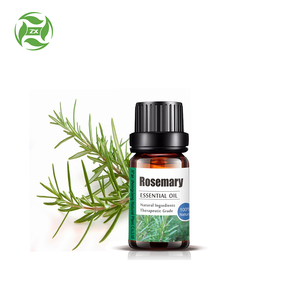 100% minyak Rosemary alami murni grosir massal