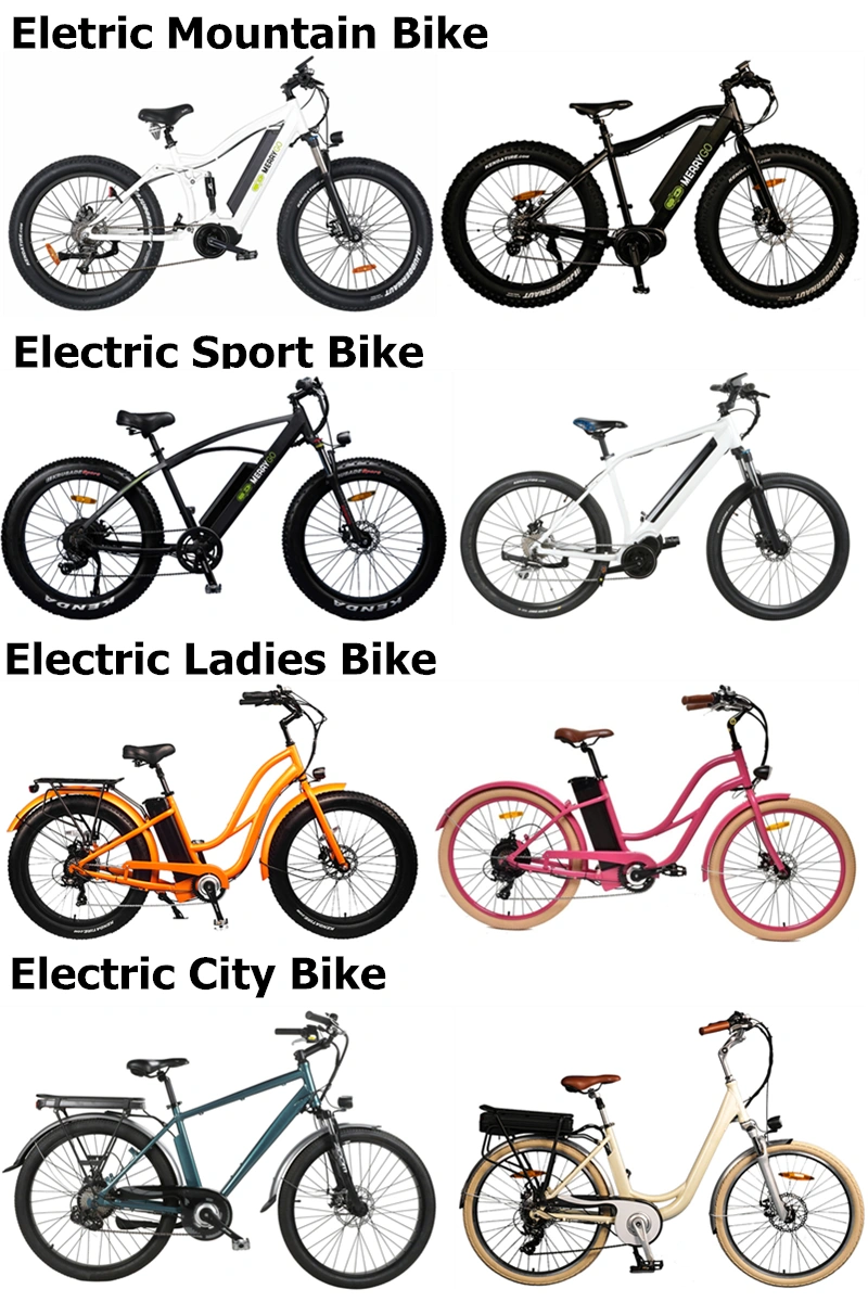 Alloy Frame Fat Tire Woman E Bike LCD Display Beach Electric Scooter Power Motor