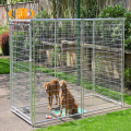 Canada Waled Wire Mesh Refing Dog Kennel