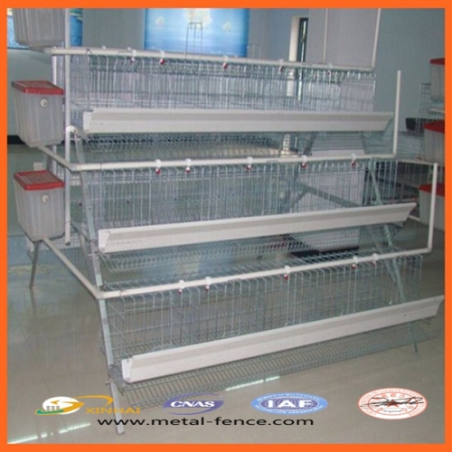 Chicken Cage/Chicken Layer Cage Prices/Layer Cage