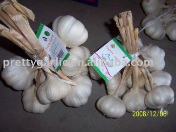 pure white garlic bundles