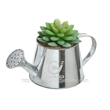 home and garden metal succulent pots mug beard succulent pots