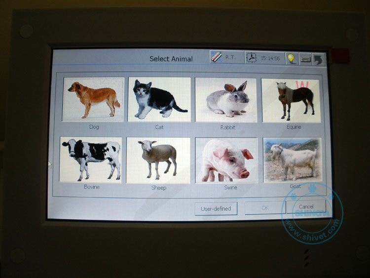 Veterinary Chemistry Analyzer (BS-600V)