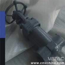 Cast & Forged Bellow Sealed Gate Valve