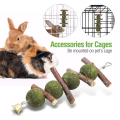 Kelinci mengunyah mainan organik alami