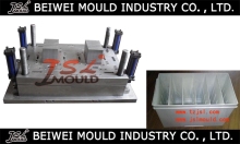 Injection plastic auto battery container mould