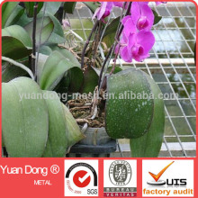 Seedbed Netting/ Greenhouse Seedbed Netting/ Flower Netting
