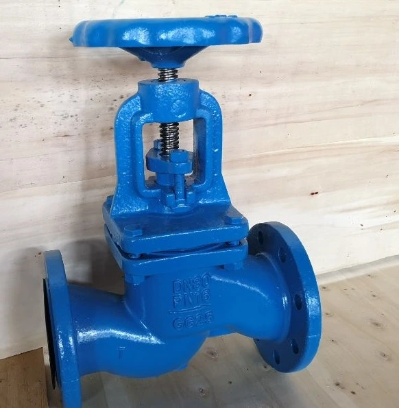 Lr Approval DIN Cast Iron Globe Valve Pn16