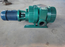 ZJ150 Roots Vacuum Pump