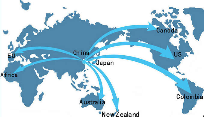 black garlic exportation