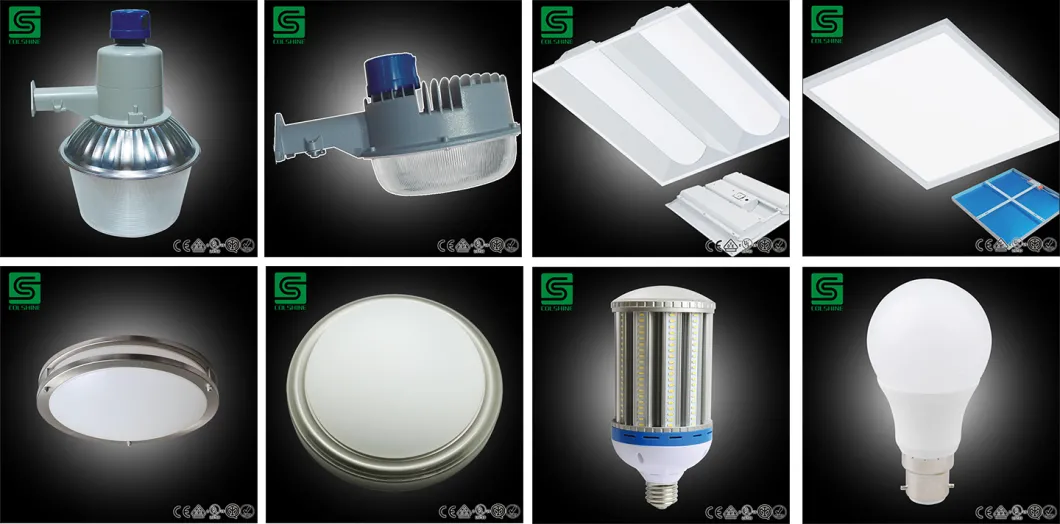 Hot Sale 10W to 100W IP65 High Quality COB LED Floodlight