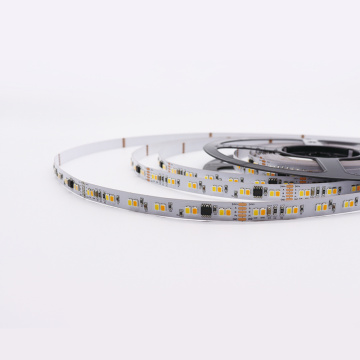 Addressable DMX digital led strip 120 leds/m CCT led strip