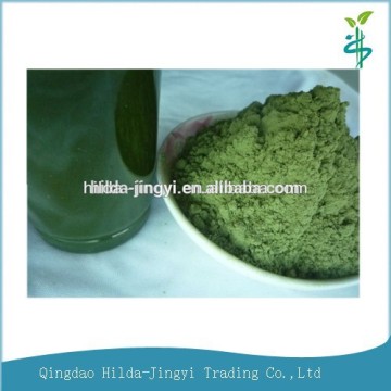 2015 Barley grass powder(hordeum vulgare)