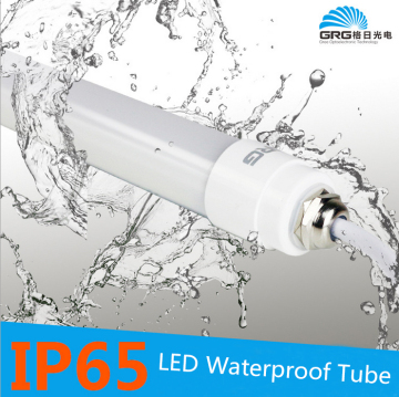 high lumen IP65 Led Tube Lighting with A Discount