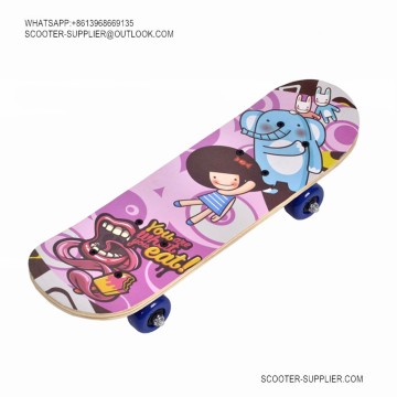 Adult Long Board Skateboard1705
