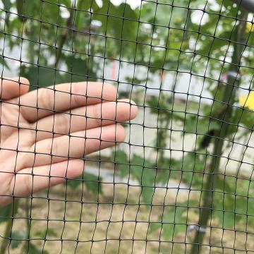 BOP Anti Bird Control Net van Chinese fabriek