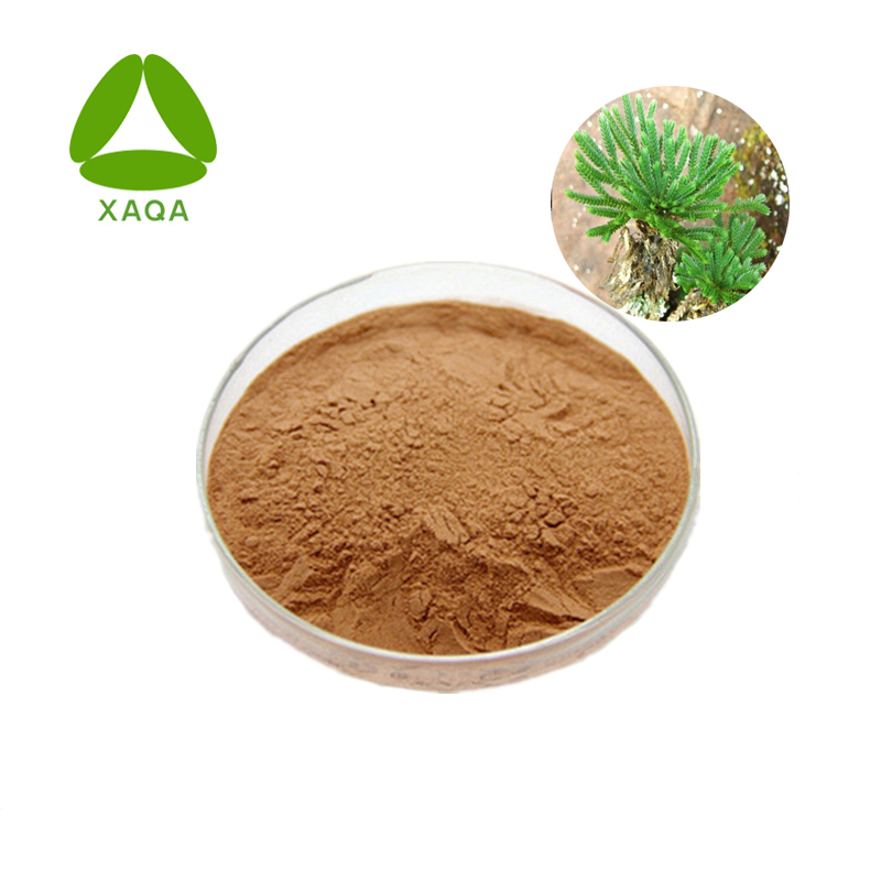 Biflavonoid -Selaginella -Extrakt -Amentoflavon 20% Pulver