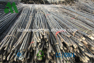 black bamboo/black bamboo sticks/bamboo canes/bamboo poles