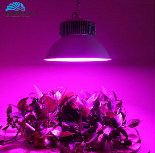 good quality led highbay 30w wholesale online