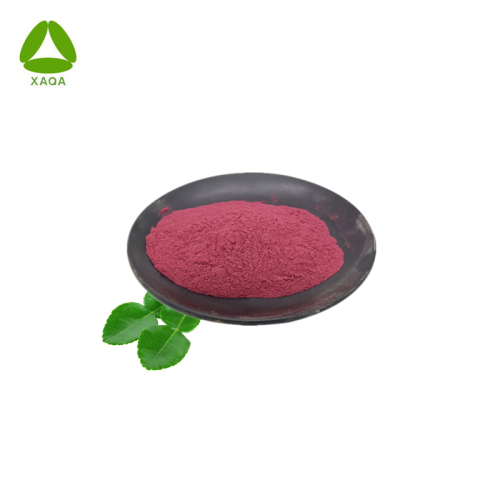 Best Quality Pure 99% 14639-25-9 Chromium Picolinate Powder