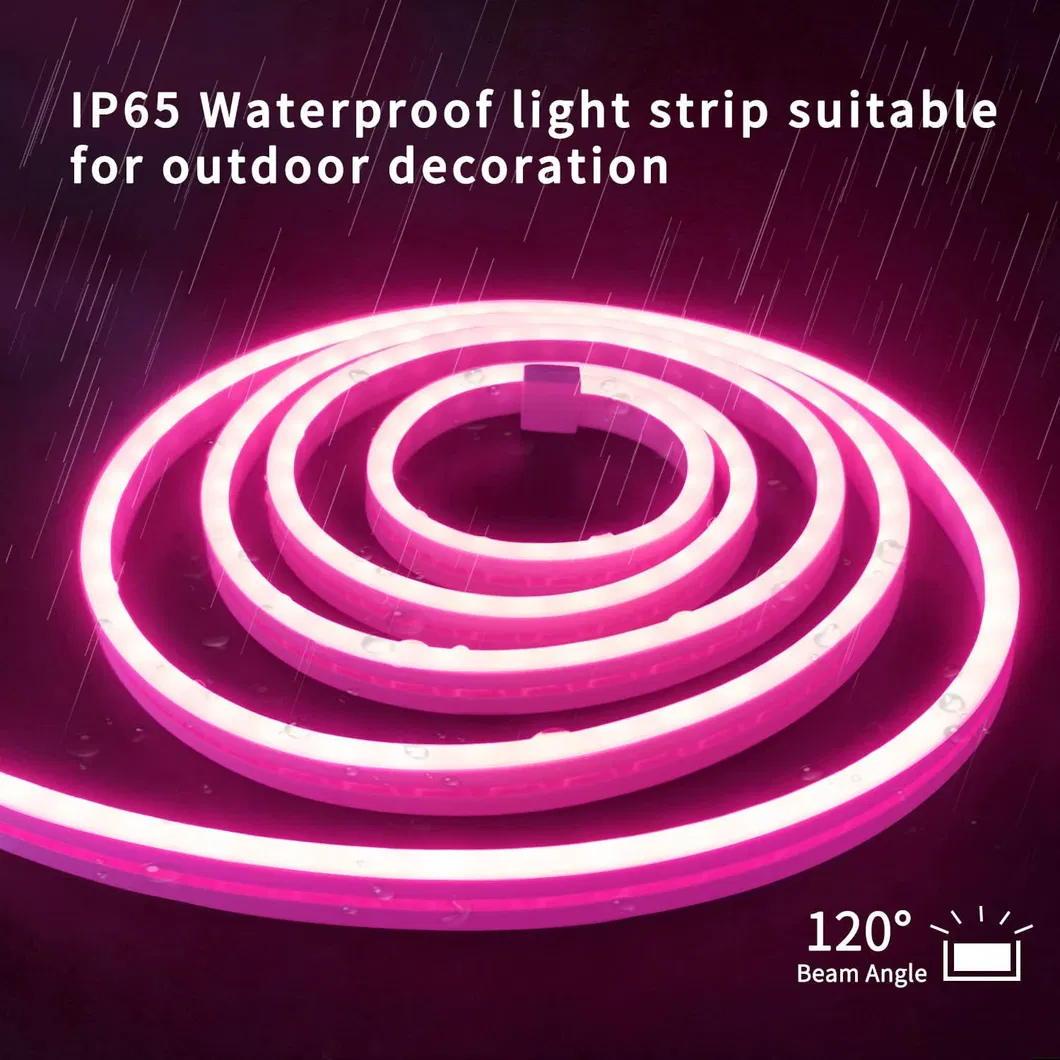 Colorful Flexible IP67 Silicone Neon Strip Lights for Home and Garden Decor