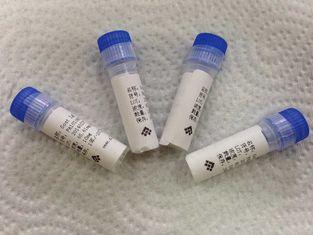 Mouse anti - Methaqualonum Antigen Hybridoma Monoclonal Ant