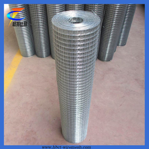 Top Quality Galvanized Welded Wire Mesh