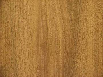 Laminated Flooring-Black Walnut (8656)