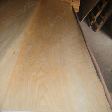 Rotary Cut Basswood veneer