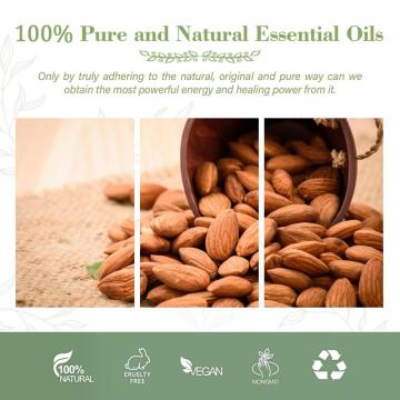 Wholesale Bulk Carrier Oils Organic Cold Pressed Pure Sweet Almond Oil For Hair Face Skin