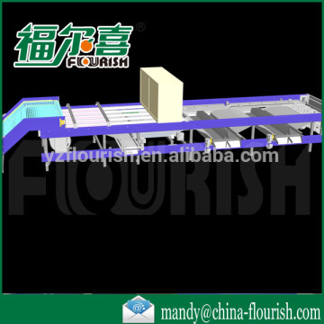 Full automatic industrial jujube grading equipment supplier