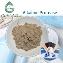 Alkaline Protease Enzyme Powder Microbial protease enzyme