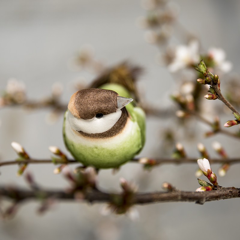 Tafeldecoratie vogelkooi