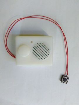 Recordable Sound Box Music Box with Push Button Recording