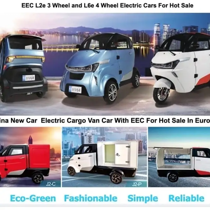Electric Household New Cars with EEC Certificate 100ah Lithium Battery for Adults