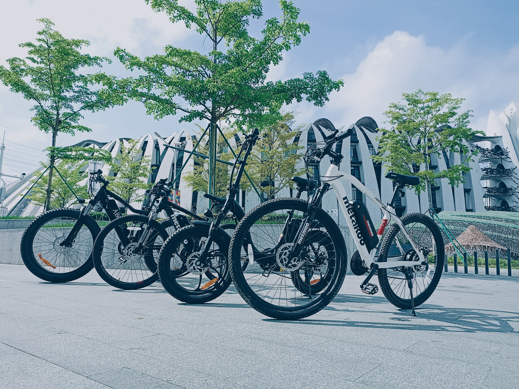 2022 Long range central motor 36V 350W electric mountain bike trek wholesale full suspension Electric Bike