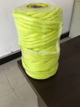 tomato twine sell to newsland