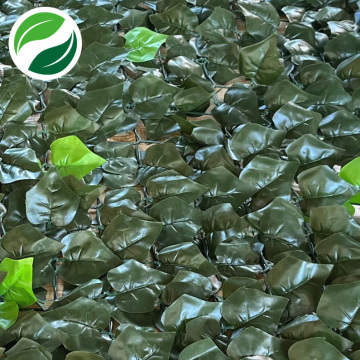 Simulated extruded net sweet potato leaves