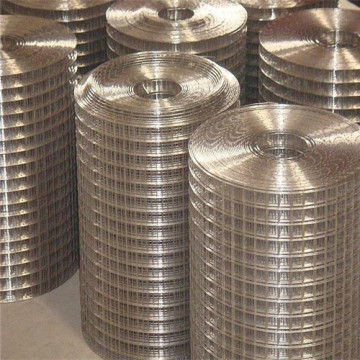 Hot dipped galvanized welded wire mesh net