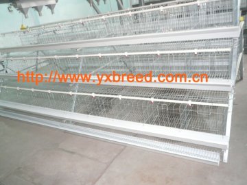 poultry cages