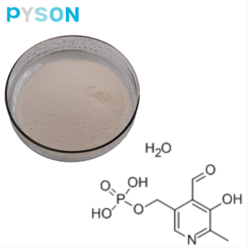 Poudre de phosphate de pyridoxal 5 (P5P)