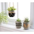 Cadeau de décoration intérieure pour petites plantes