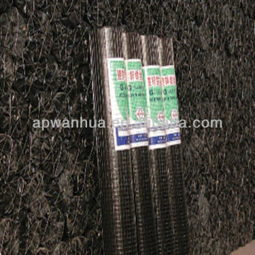 High Quality Galvanized Welded Wire Mesh Fencing