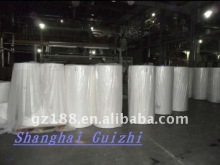 China spunlace non-woven rolls