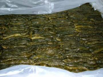 Salted Tokiwa Cucumber 673