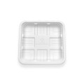 Rectangle Biodegradable and Compostable Food Serving Tray