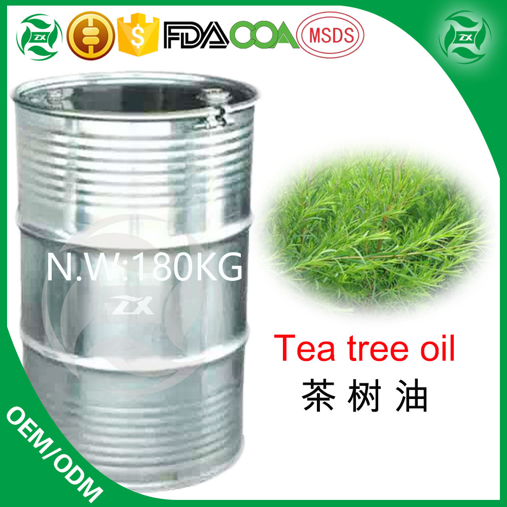 100% शुद्ध चाय पेड़ आवश्यक तेल थोक मूल्य
