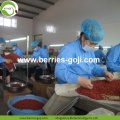 ซูเปอร์อาหารขายส่งปรับปรุงสายตา Zhongning Goji Berry